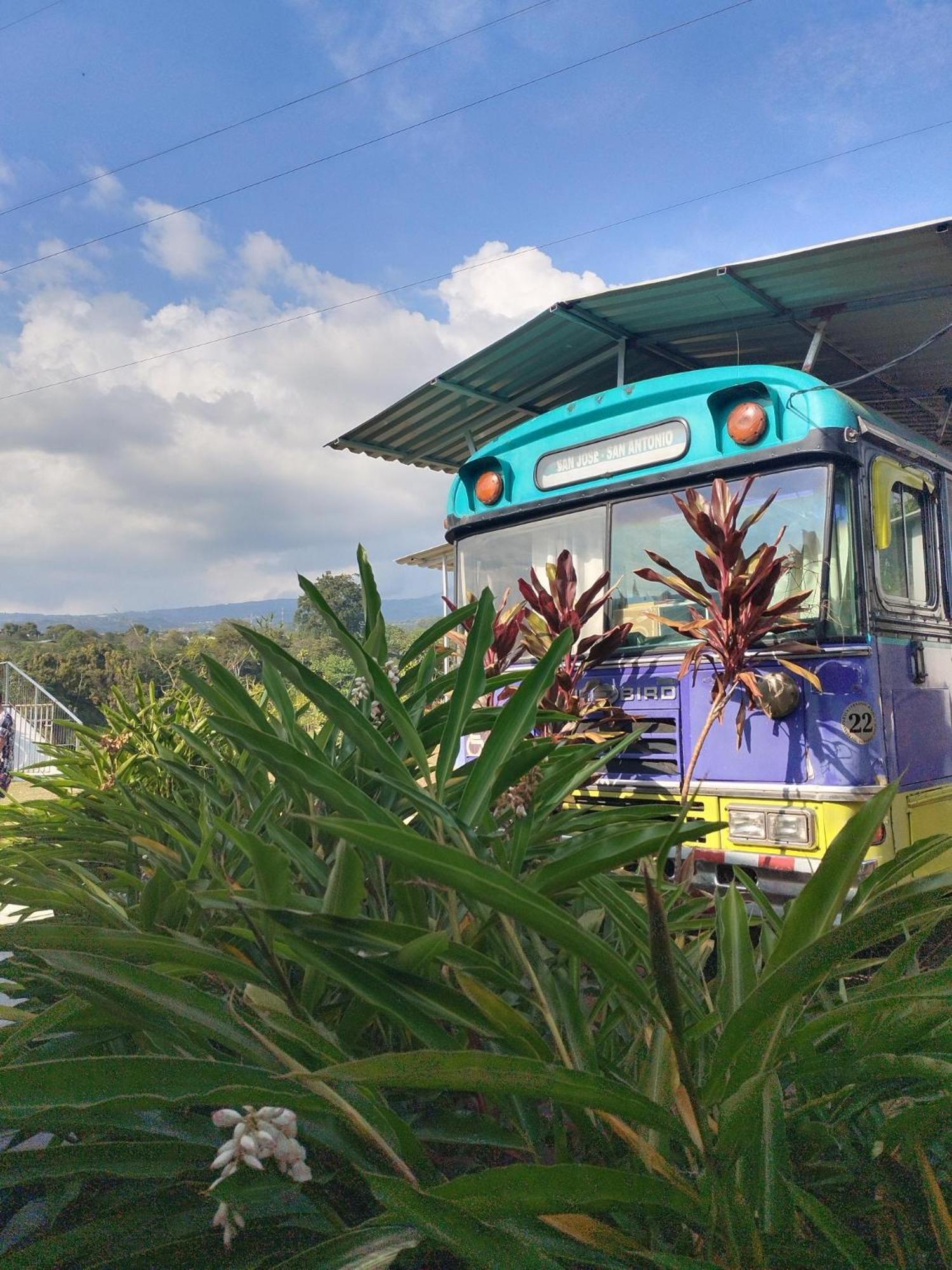 Dreamcatcher House Bus Experience 2 Sarchí Exterior foto